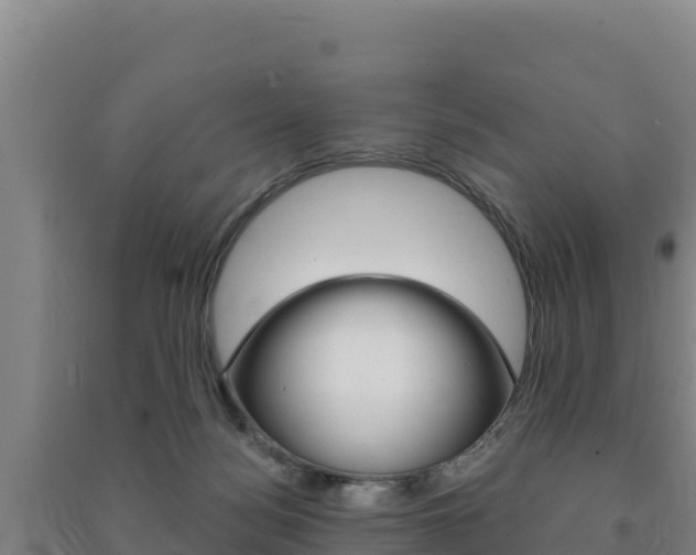 X0000091470172200708161135