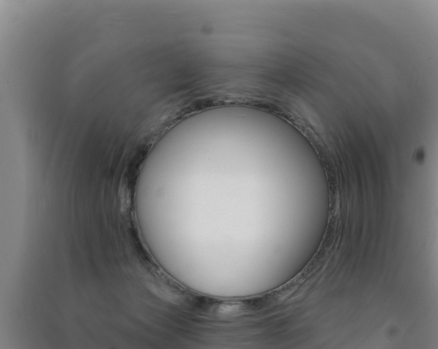X0000091470173200708161135
