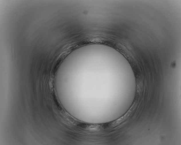 X0000091470175200708161135