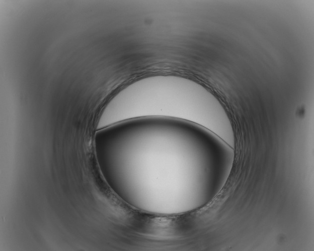 X0000091470176200708161135