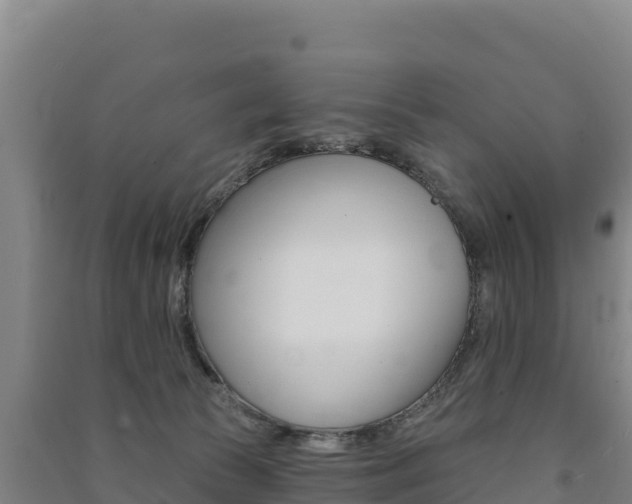 X0000091470177200708161135