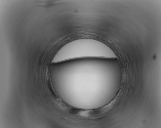X0000091470178200708161135