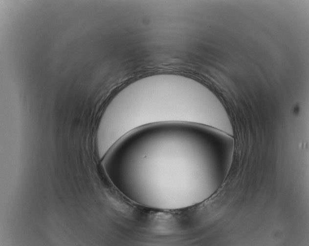 X0000091470180200708161135