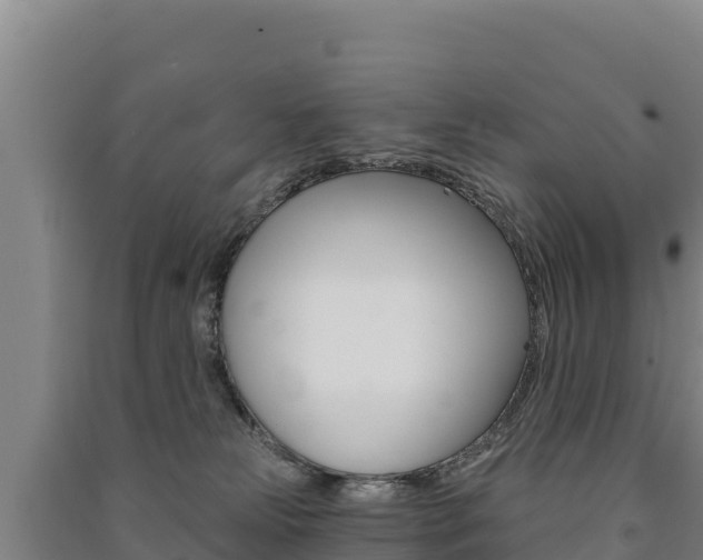 X0000091470181200708161135