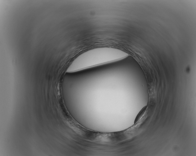 X0000091470182200708161135