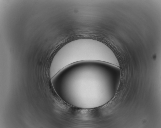 X0000091470184200708161135