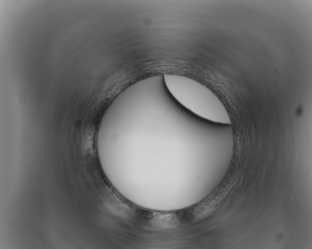 X0000091470185200708161135