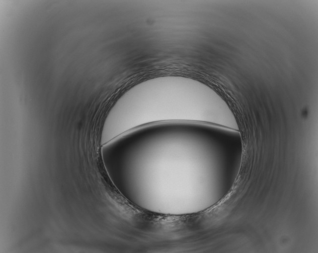 X0000091470186200708161135
