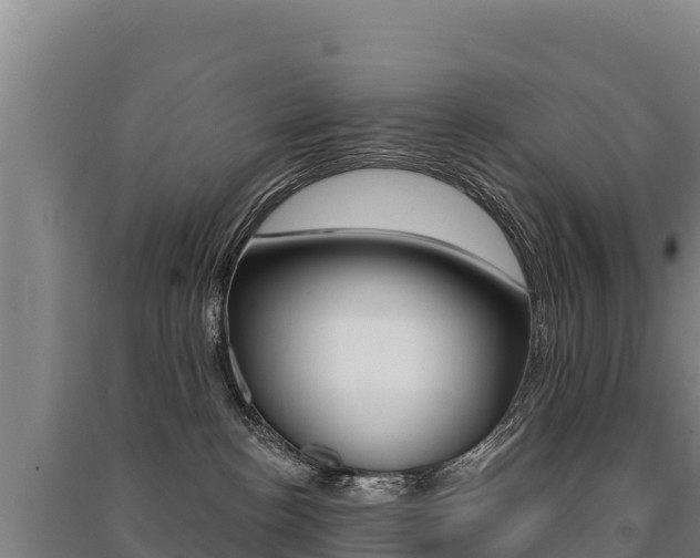 X0000091470188200708161135