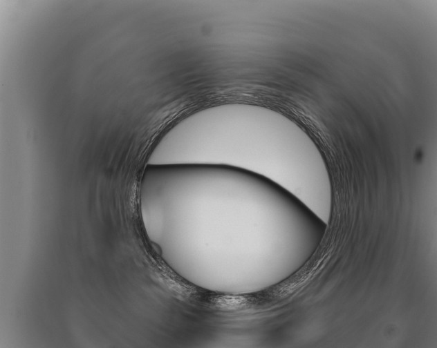 X0000091470189200708161135