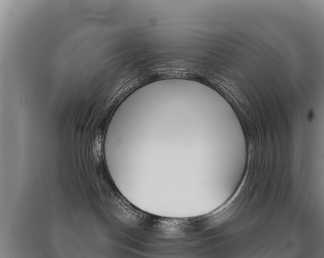X0000091470190200708161135
