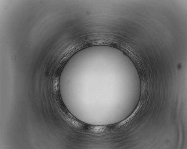 X0000091470191200708161135