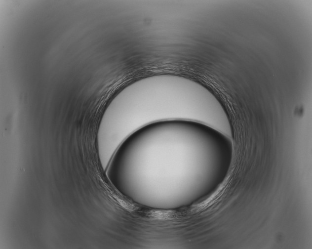 X0000091470192200708161135