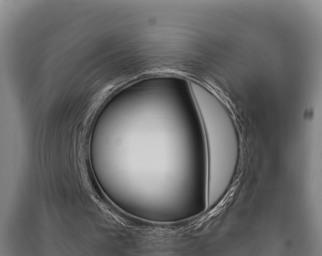 X0000091470193200708161135