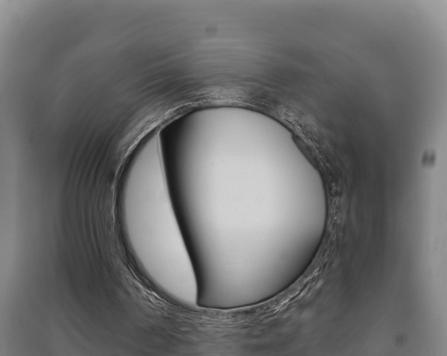X0000091470194200708161135