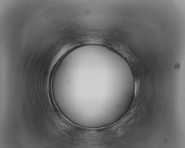 X0000091470195200708161135