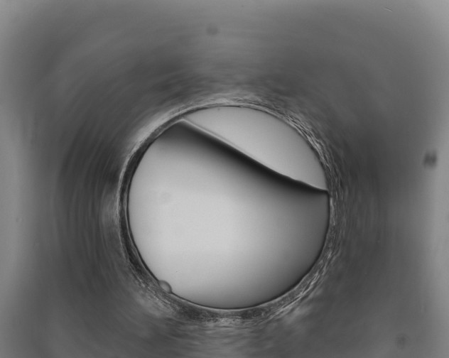 X0000091470196200708161135