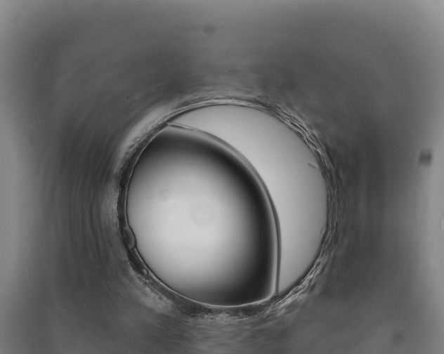 X0000091470197200708161135