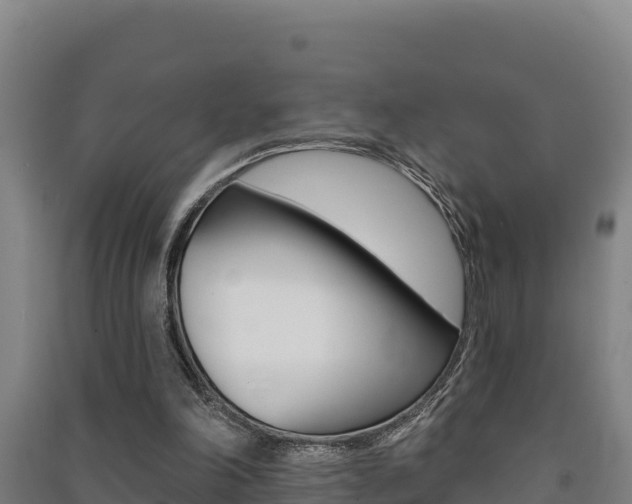 X0000091470198200708161135