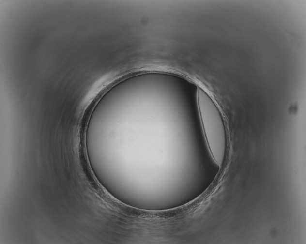 X0000091470199200708161135