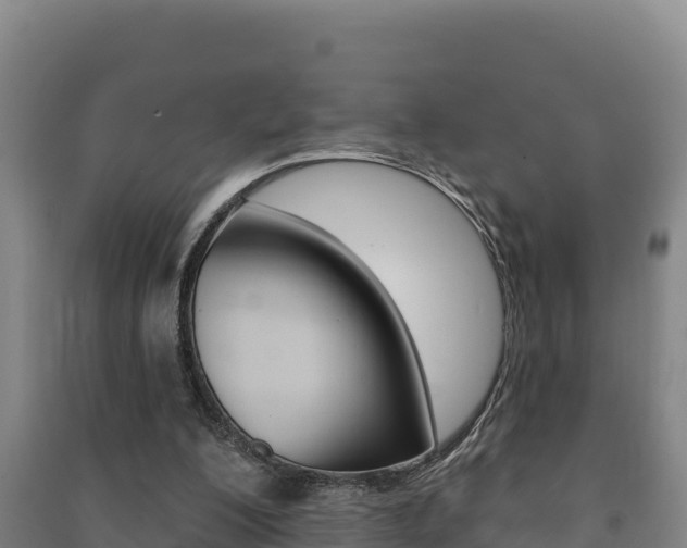 X0000091470200200708161135