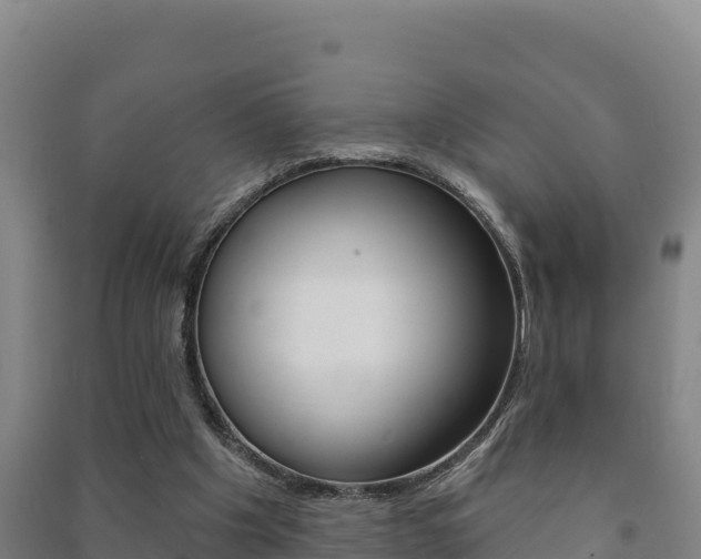 X0000091470201200708161135