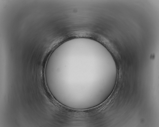 X0000091470202200708161135