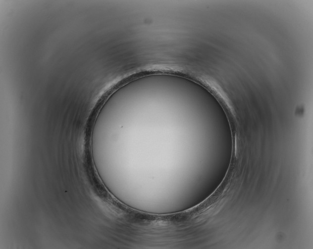 X0000091470204200708161135