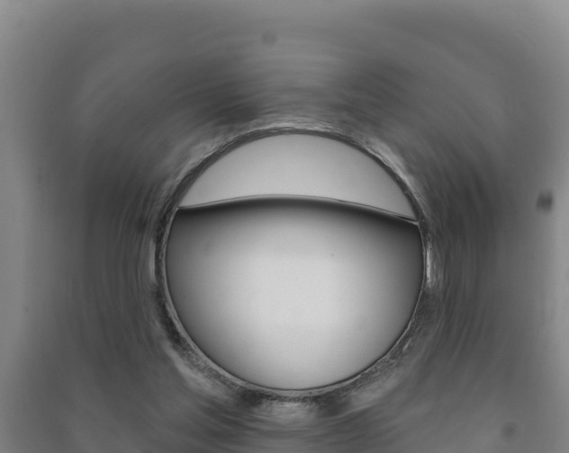 X0000091470205200708161135