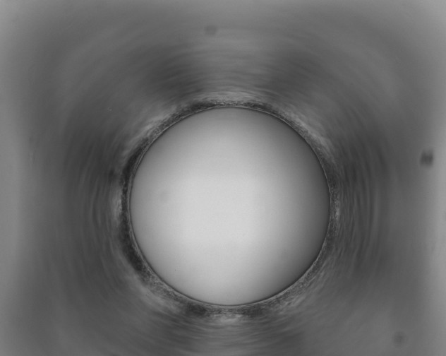 X0000091470206200708161135