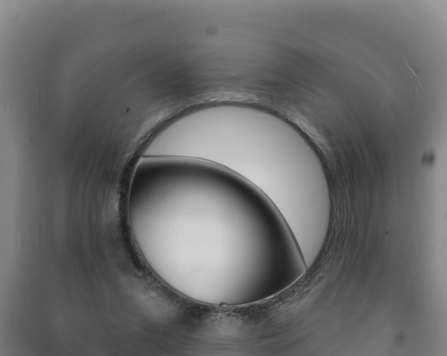X0000091470207200708161135