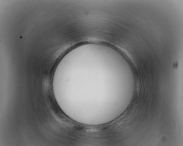 X0000091470208200708161135
