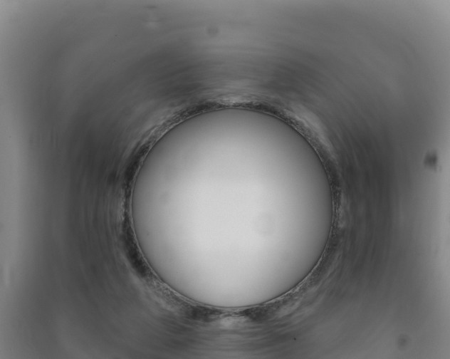 X0000091470210200708161135
