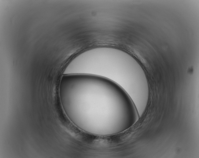 X0000091470211200708161135