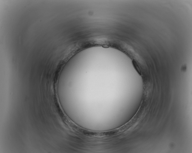 X0000091470213200708161135