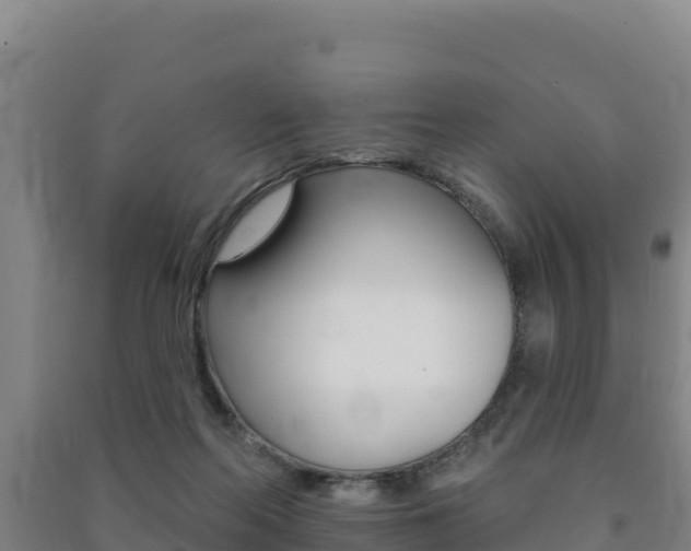 X0000091470214200708161135