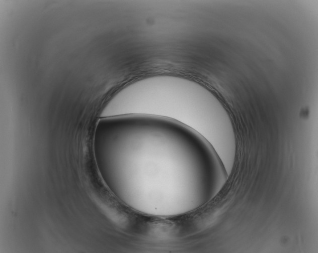 X0000091470215200708161135