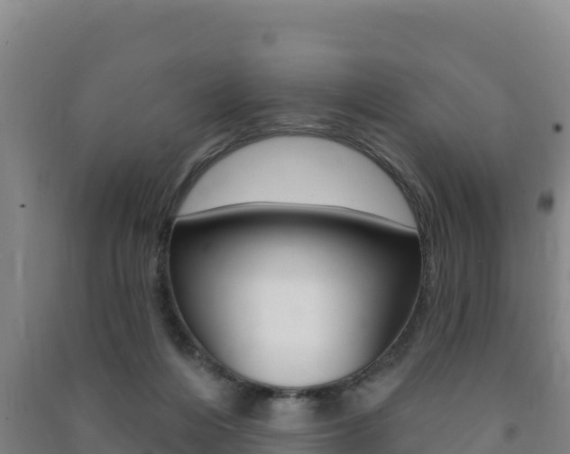 X0000091470216200708161135