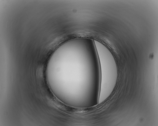 X0000091470217200708161135