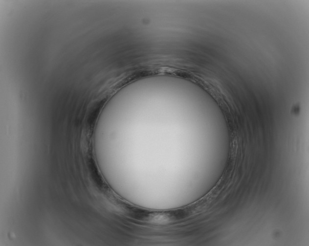 X0000091470218200708161135