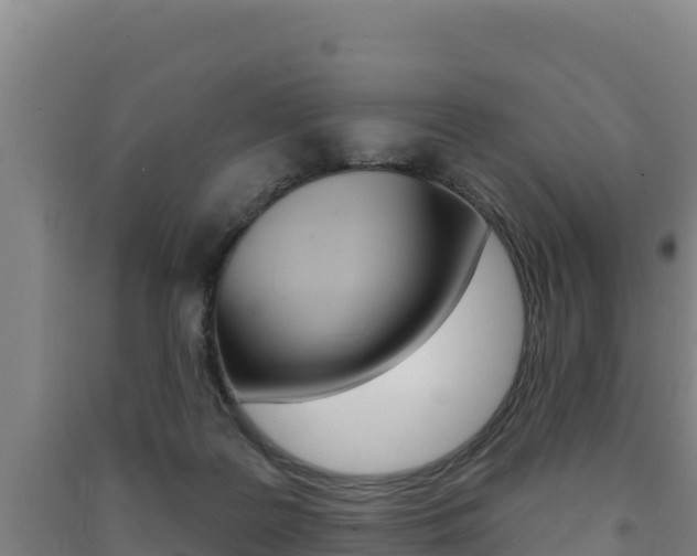 X0000091470219200708161135