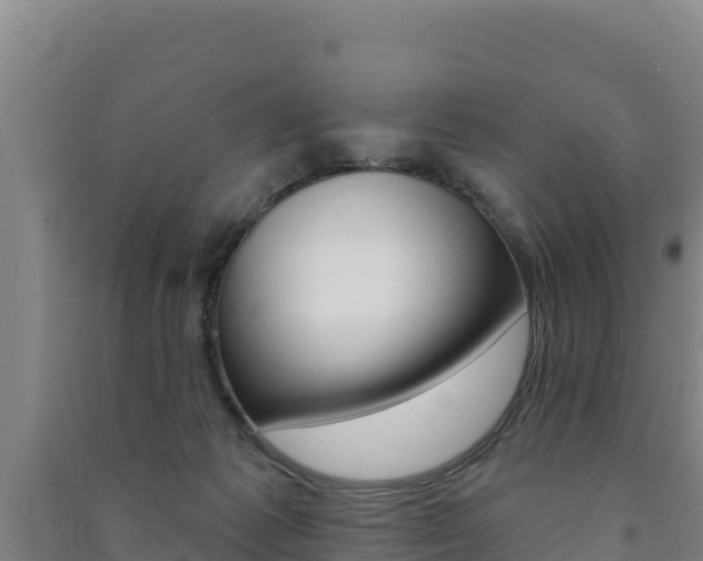X0000091470221200708161134