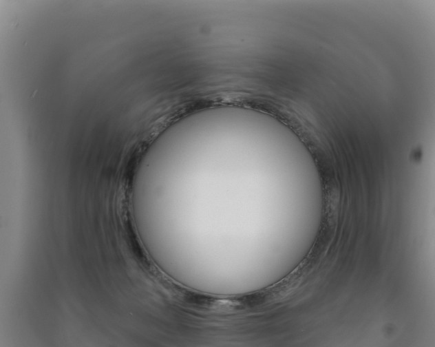 X0000091470222200708161134