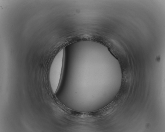 X0000091470223200708161134