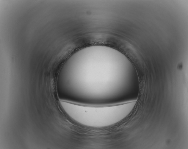 X0000091470224200708161134