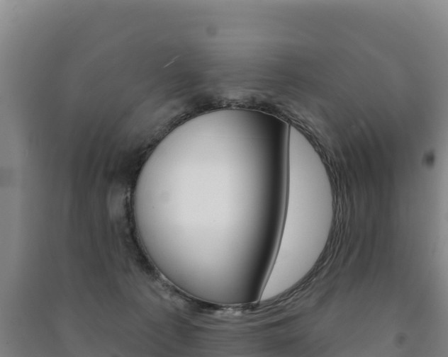X0000091470225200708161134