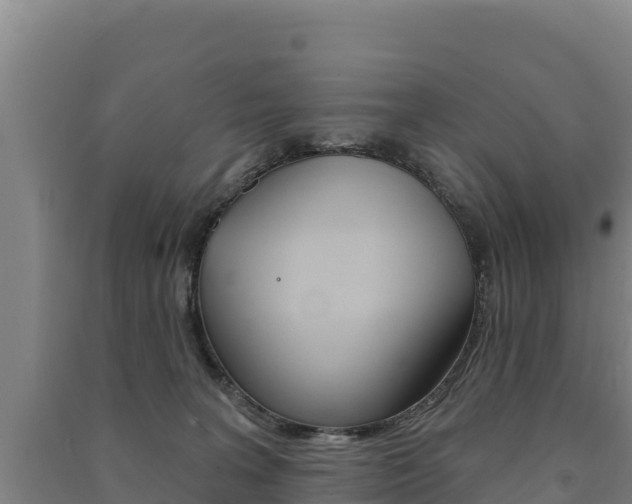 X0000091470227200708161134