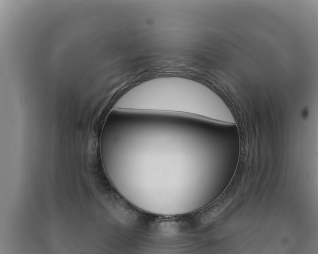 X0000091470228200708161134