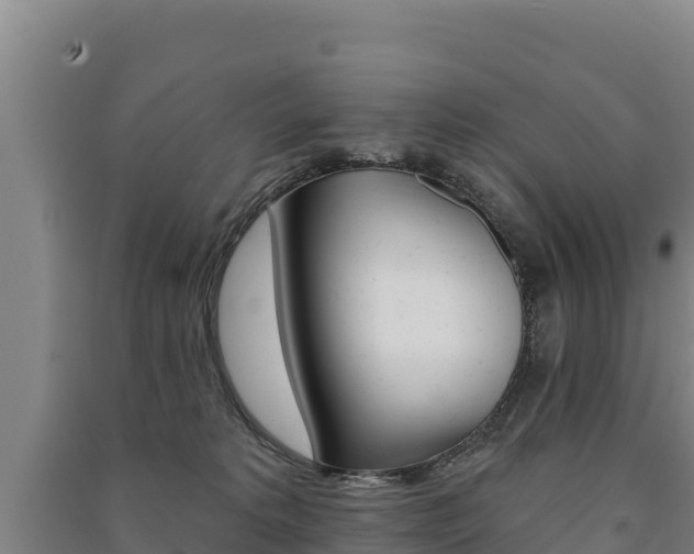 X0000091470229200708161134