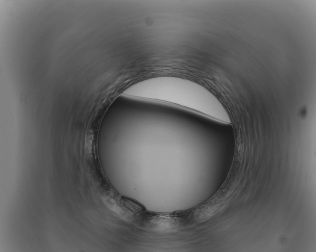 X0000091470231200708161134